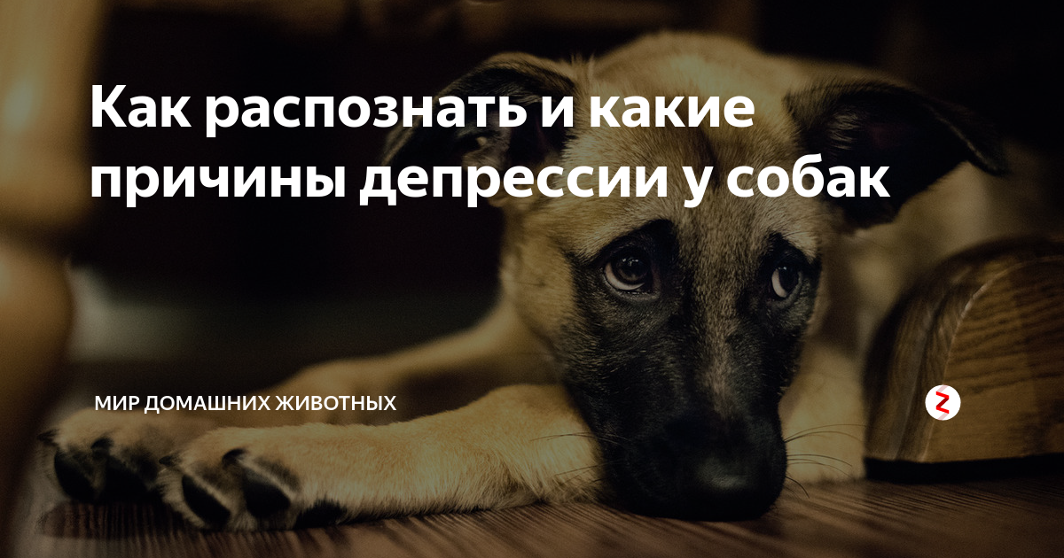 Россельхознадзор - ввоз. вывоз. транзит