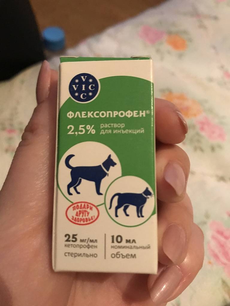 Флексопрофен (flexoprofen): как правильно применять у кошек
