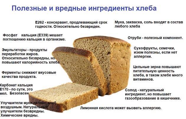 Можно ли давать хомякам хлеб белый, черный или хлебцы?