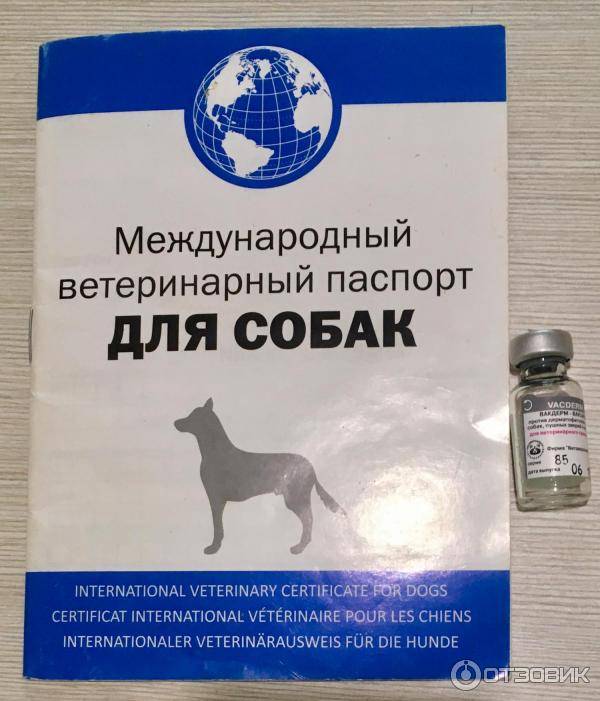 Инструкция по применению вакдерм — вакцинация кошек и собак
