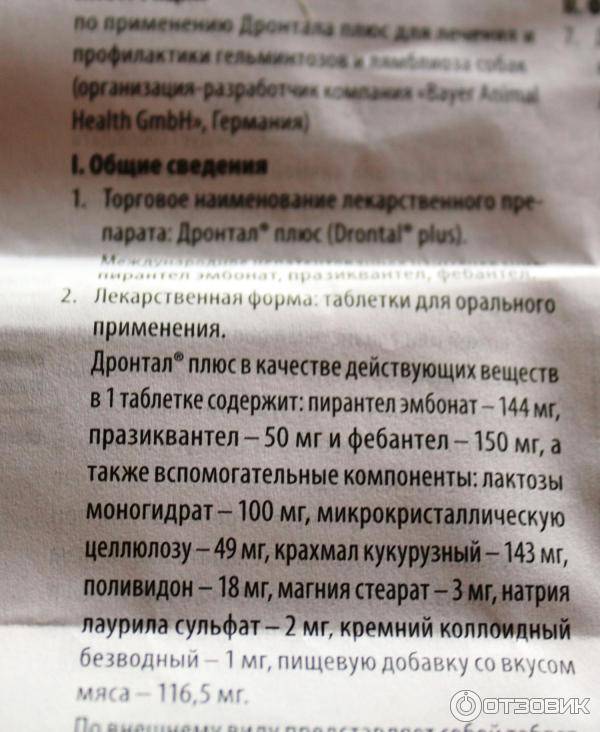 Дронтал для кошек: как давать?