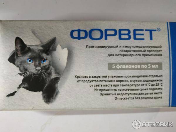 Форвет для кошек и котят: инструкция по применению глазных капель и дозировка раствора для уколов