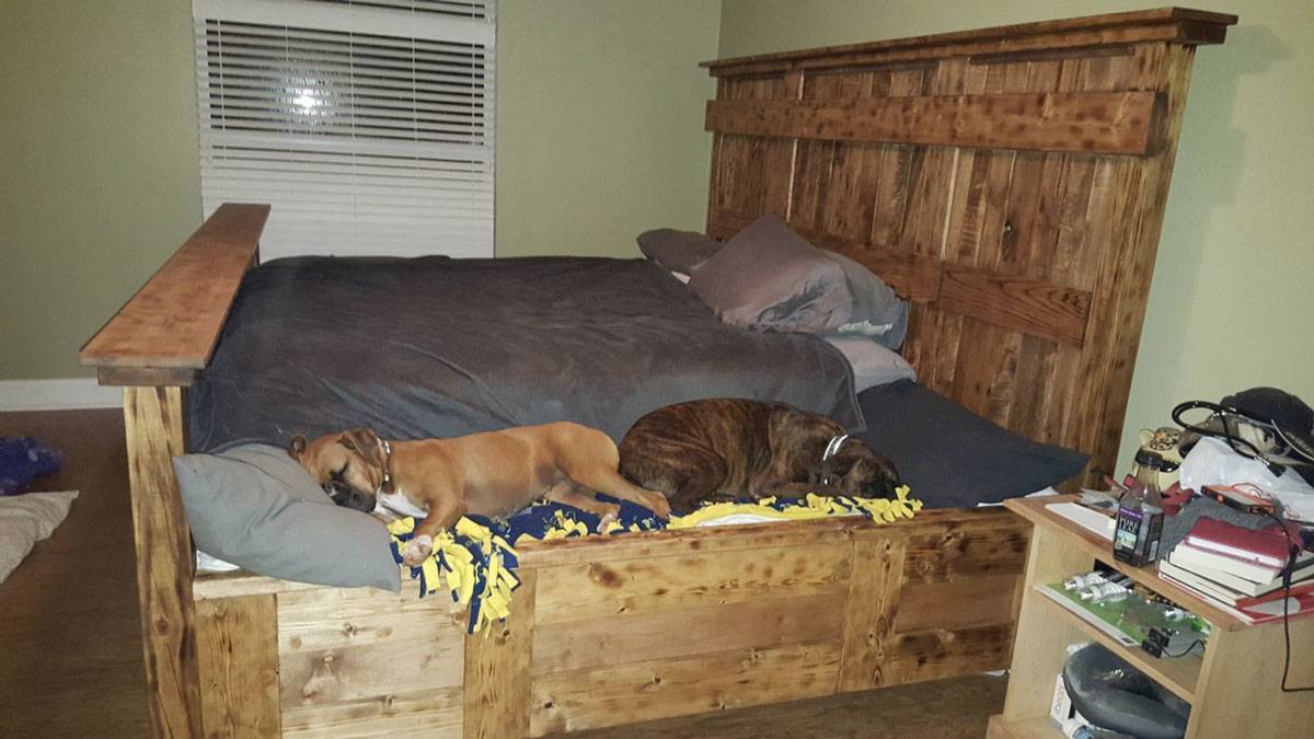 Кровать с местом для собаки