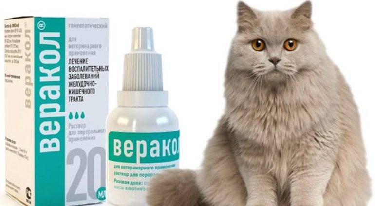 Инструкция по применению препарата имунофан для кошек