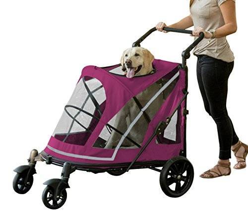 Как выбрать инвалидную прогулочную коляску для собаки? - petstory