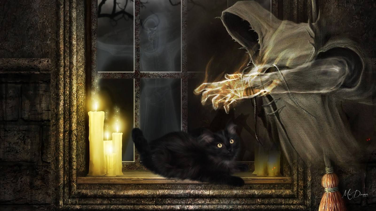 Черный кот магия