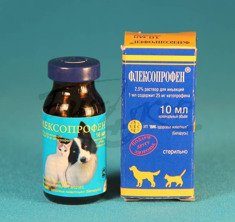 Флексопрофен для кошек и собак: инструкция по применению