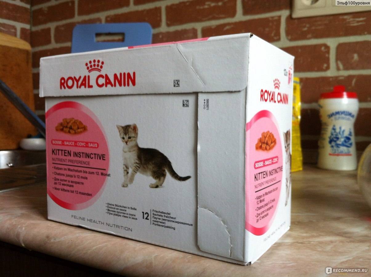 Royal canin корм для кошек: 15 популярных видов, отзывы