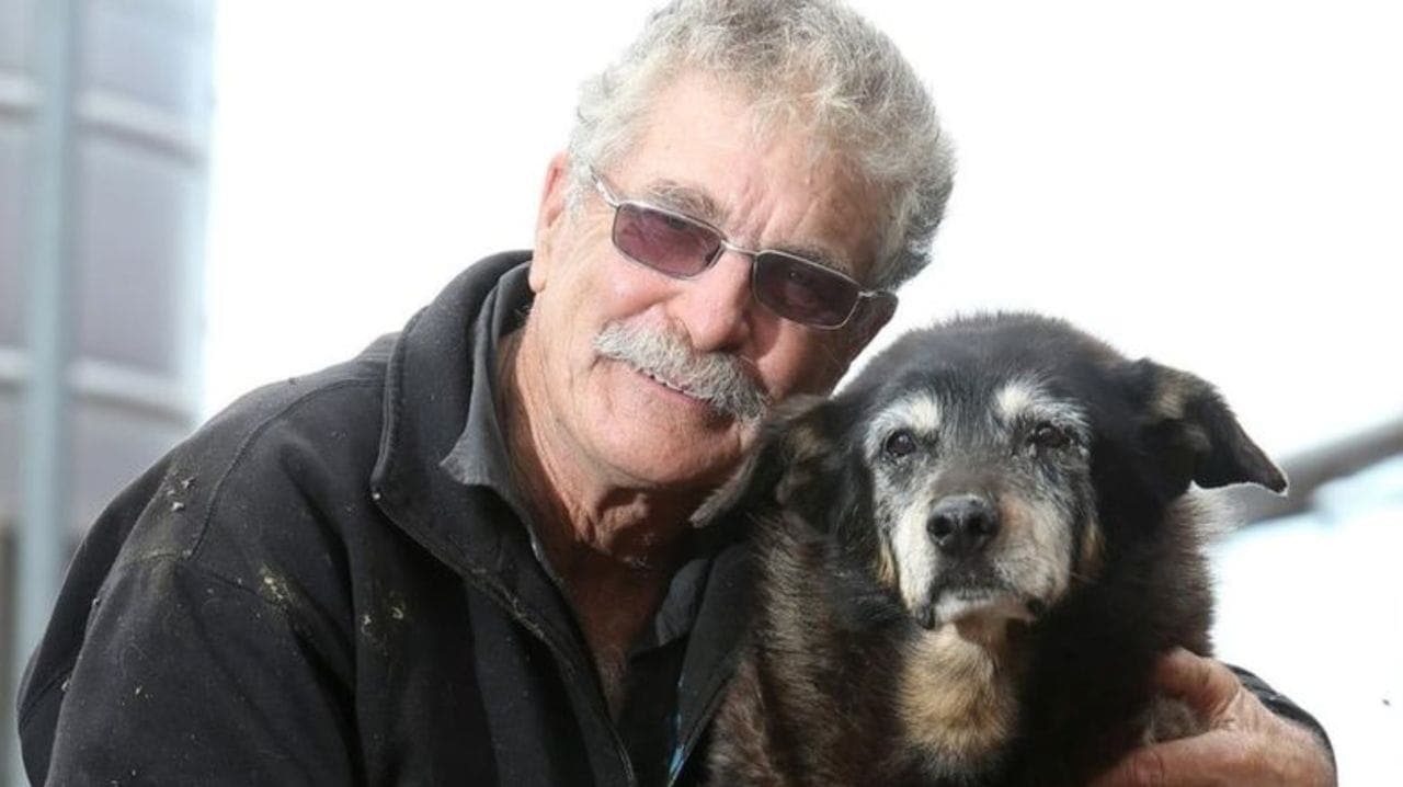 Собаки-долгожители – 5 удивительных фактов из книги рекордов гиннеса