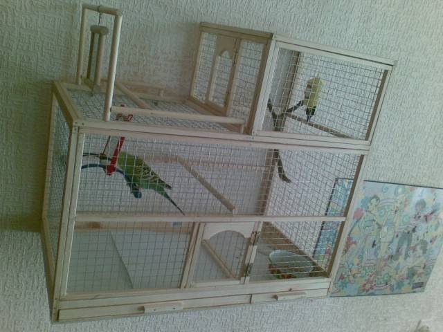 Дом и гнездо для попугаев (36 фото): как сделать домик для разведения попугаев своими руками в домашних условиях? размеры гнезда. что нужно стелить в домик?