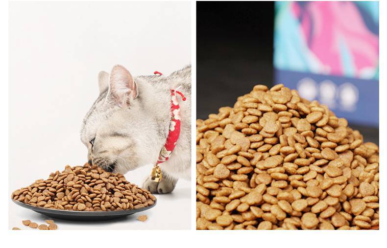 Корм для кошек «родные корма»: отзывы и разбор состава