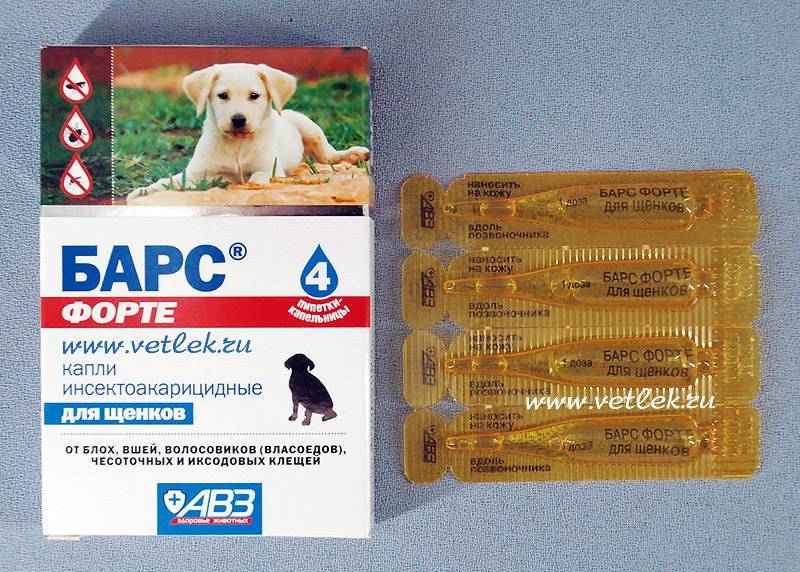 Капли барс от блох и клещей для собак: назначение, инструкция по применению, состав препарата