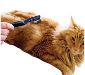 Колтунорез: что представляет собой устройство для избавления от колтунов у кошки, как им пользоваться