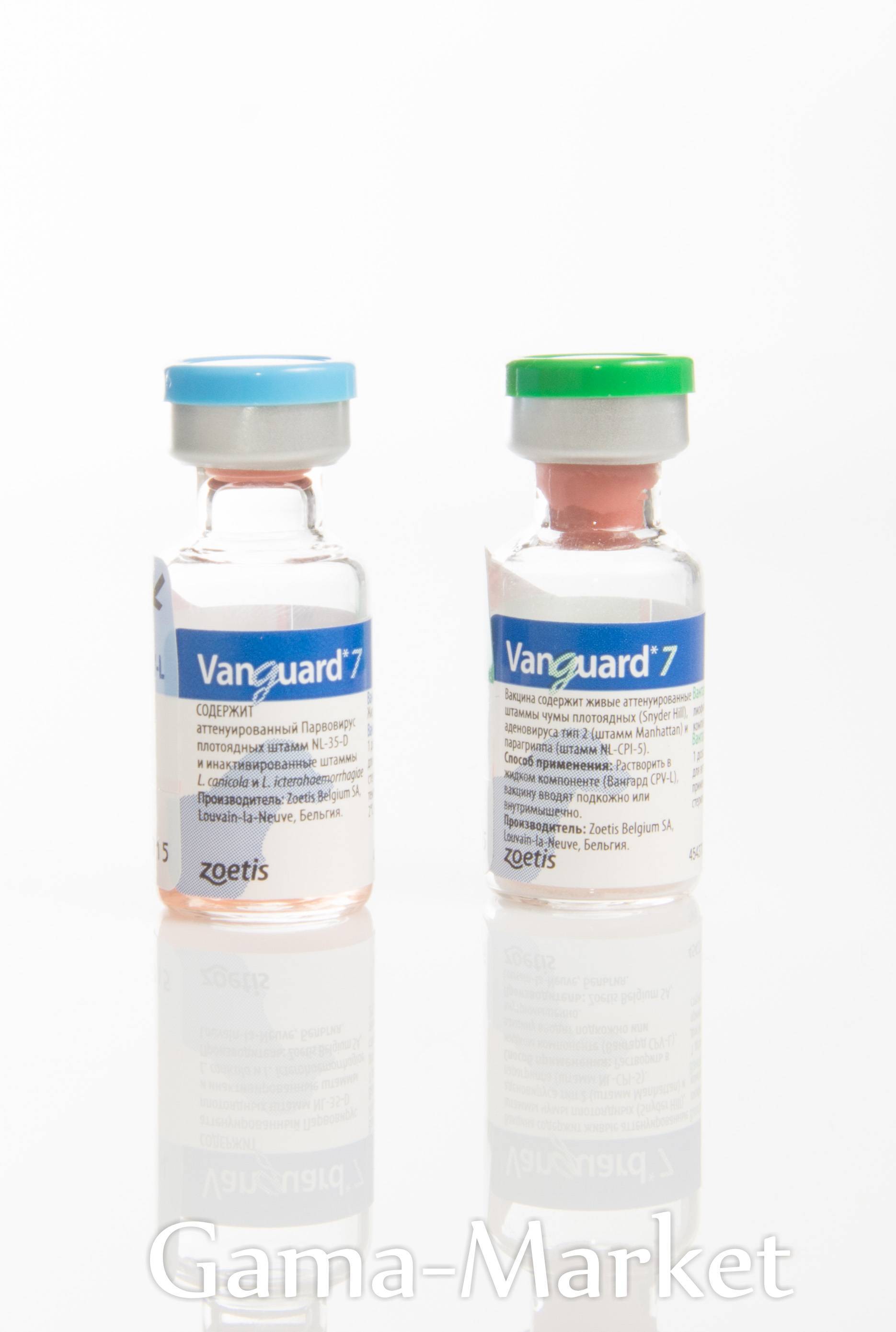 Вакцина вангард 7: инструкция по применению - вет-препараты
