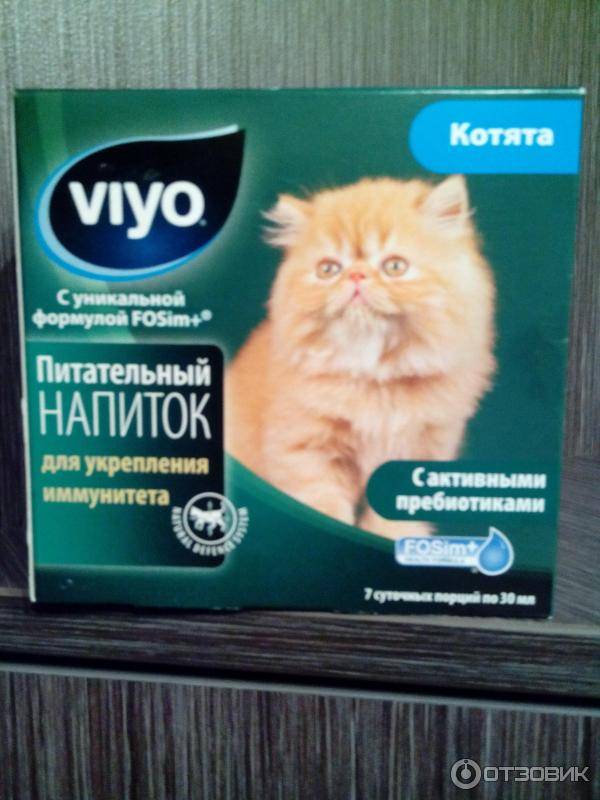 Виттри-1 для кошек: описание, инструкция по применению