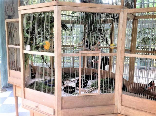 Готовим гнездо для волнистых попугаев своими руками: подробные мастер-классы