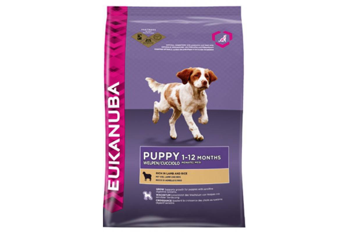 Рейтинг сухого корма для мелких собак. Эукануба паучи для собак. Корм Эукануба безаллергенный. Корм Eukanuba для собак гипоаллергенный. Эукануба для собак мелких пород сухой корм.
