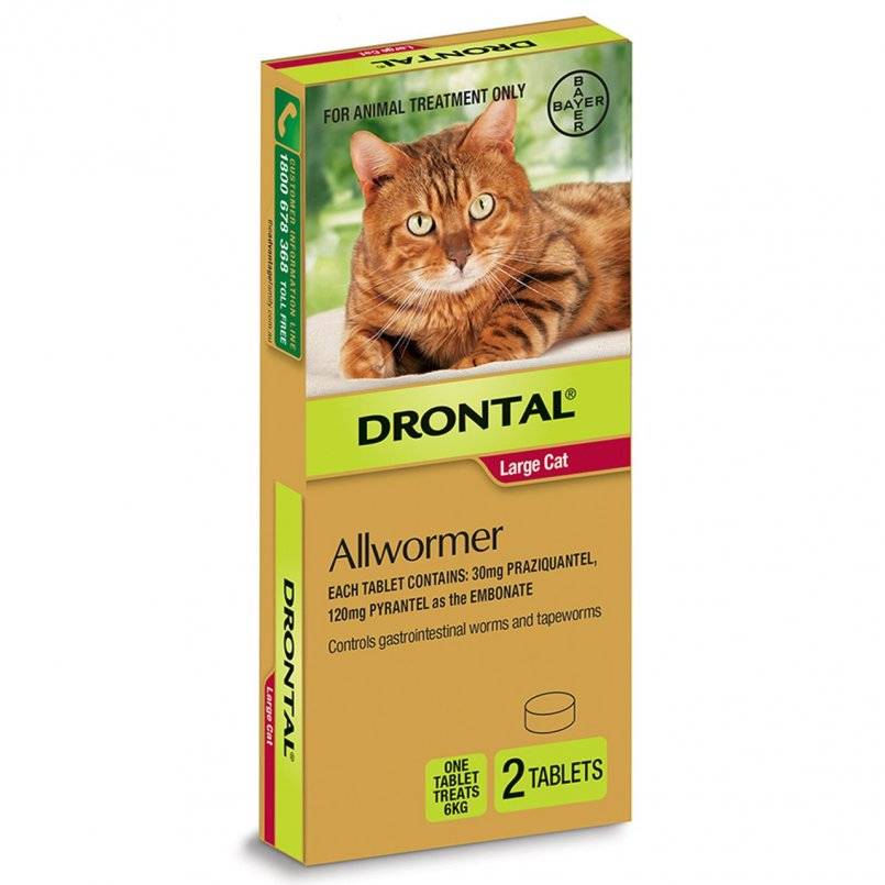 Дронтал / drontal (таблетки) для кошек, собак, щенков, котят | отзывы о применении препаратов для животных от ветеринаров и заводчиков