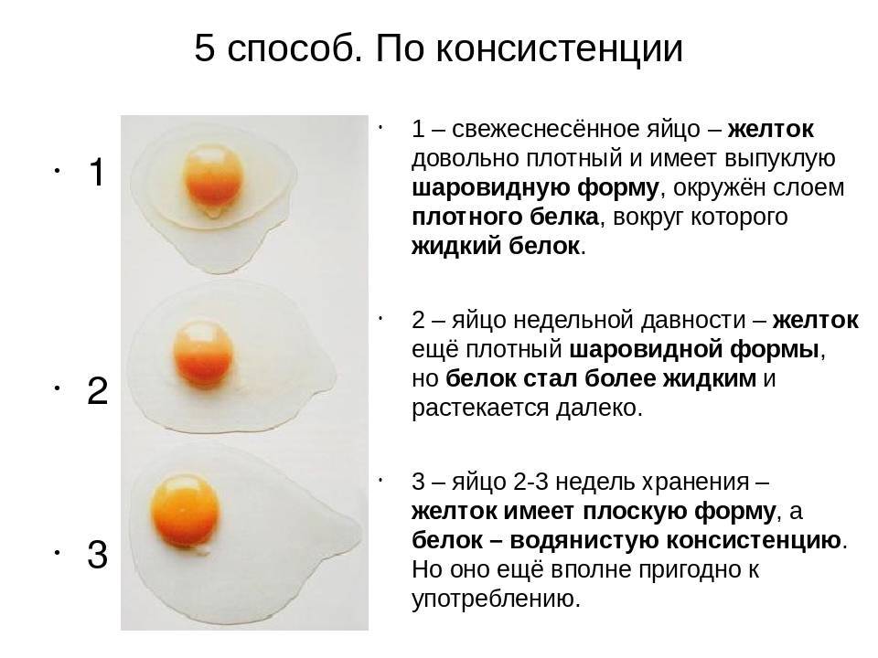 Можно ли кормить домашнюю крысу яйцами? - люблю хомяков