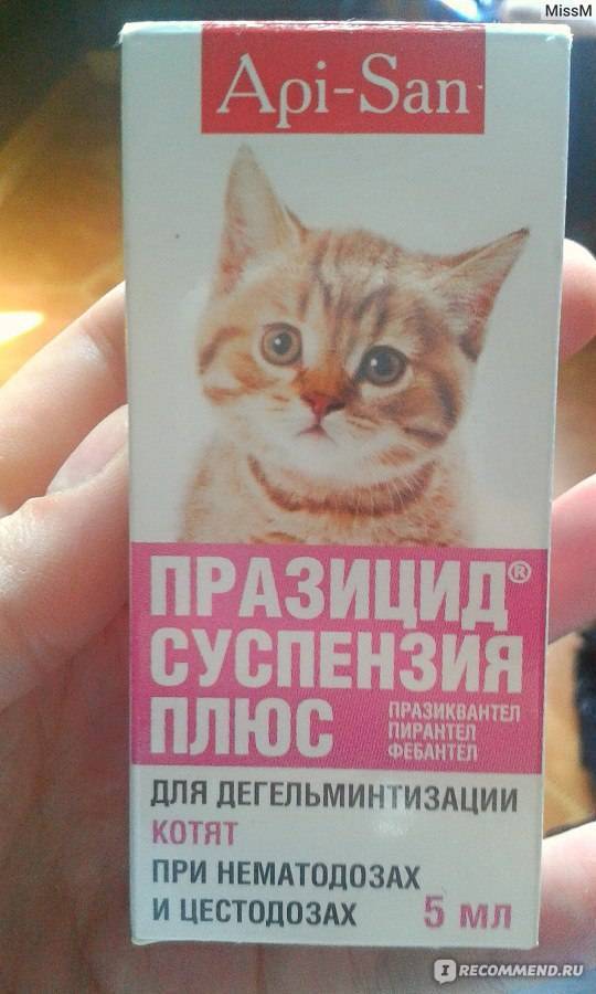 Празицид-комплекс (капли на холку) для собак и кошек | отзывы о применении препаратов для животных от ветеринаров и заводчиков