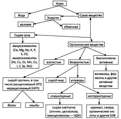 Схема классификации кормов