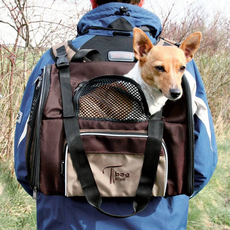 Переноска для собак мелких пород: рюкзак, слинг и другие виды