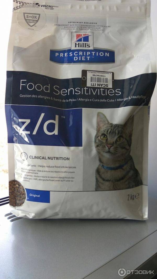 Какой корм для кошки лучше: топ рейтинг 2021 года по качеству состава + отзывы ветеринаров