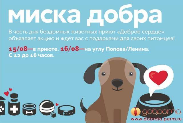 Карта teddy food ак барс условия обслуживания | оформить teddy food от «ак барс» банка онлайн | банки.ру