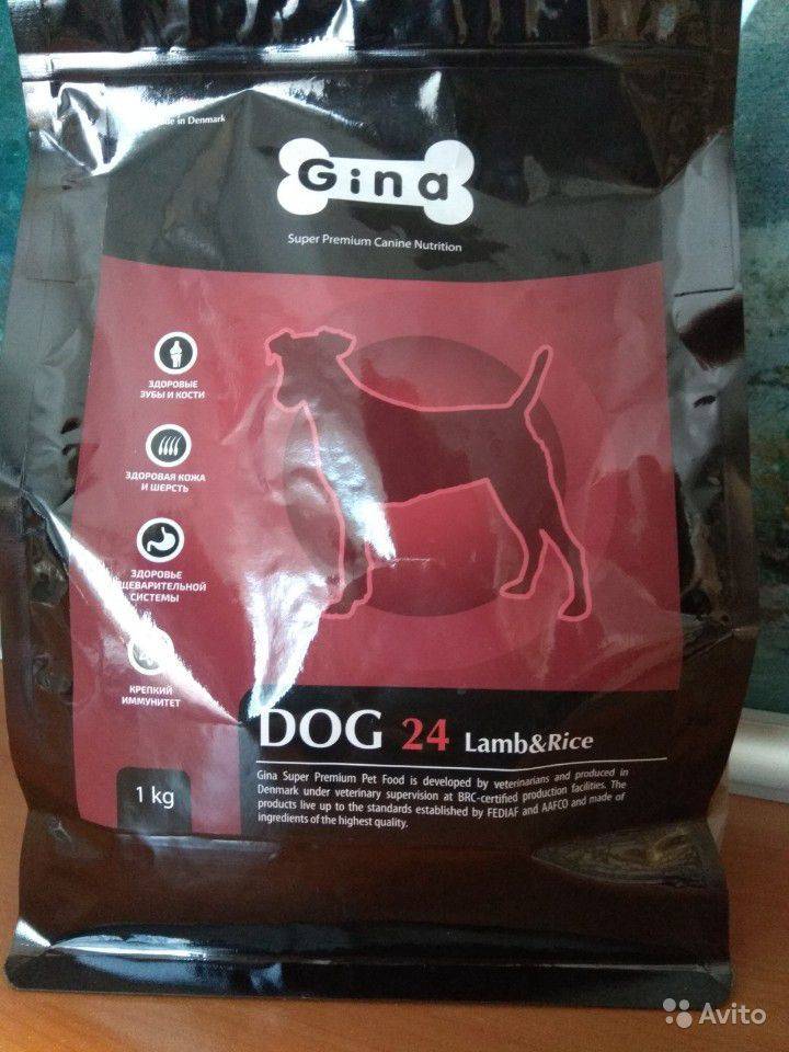 Корм для собак джина (gina): отзывы, анализ состава и цены