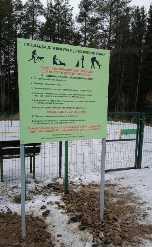 Правила выгула собак: закон в 2020 году в россии, штраф, запрещенные места, можно ли гулять без намордника и поводка в городе, в неположенном месте
