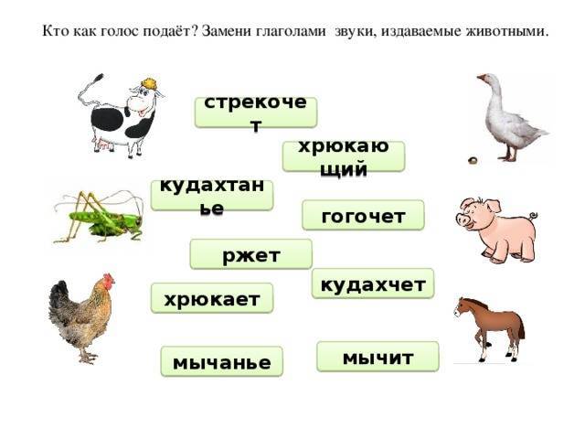 Говорящие названия животных. Кто как голос подает. Какие звуки издают животные. Животные которые издают звуки. Кто как подает голос из животных.