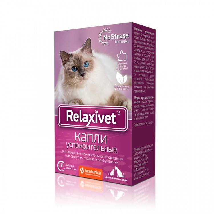 Успокоительное для кошек - обзор препаратов - kotiko.ru