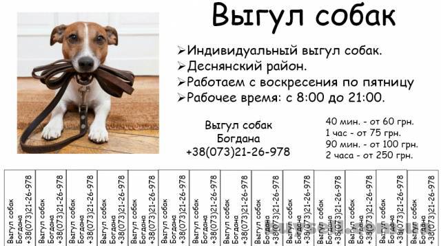 Объявление по выгулу собак образец