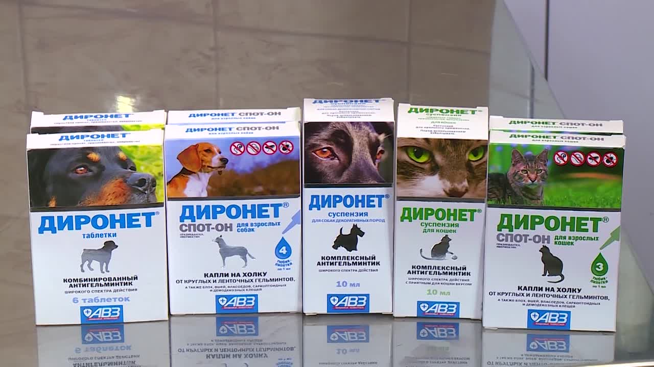 Диронет для кошек: описание и инструкция