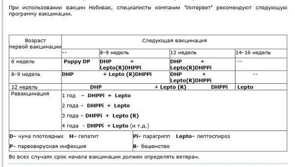 Прививка нобивак для щенков схема вакцинации