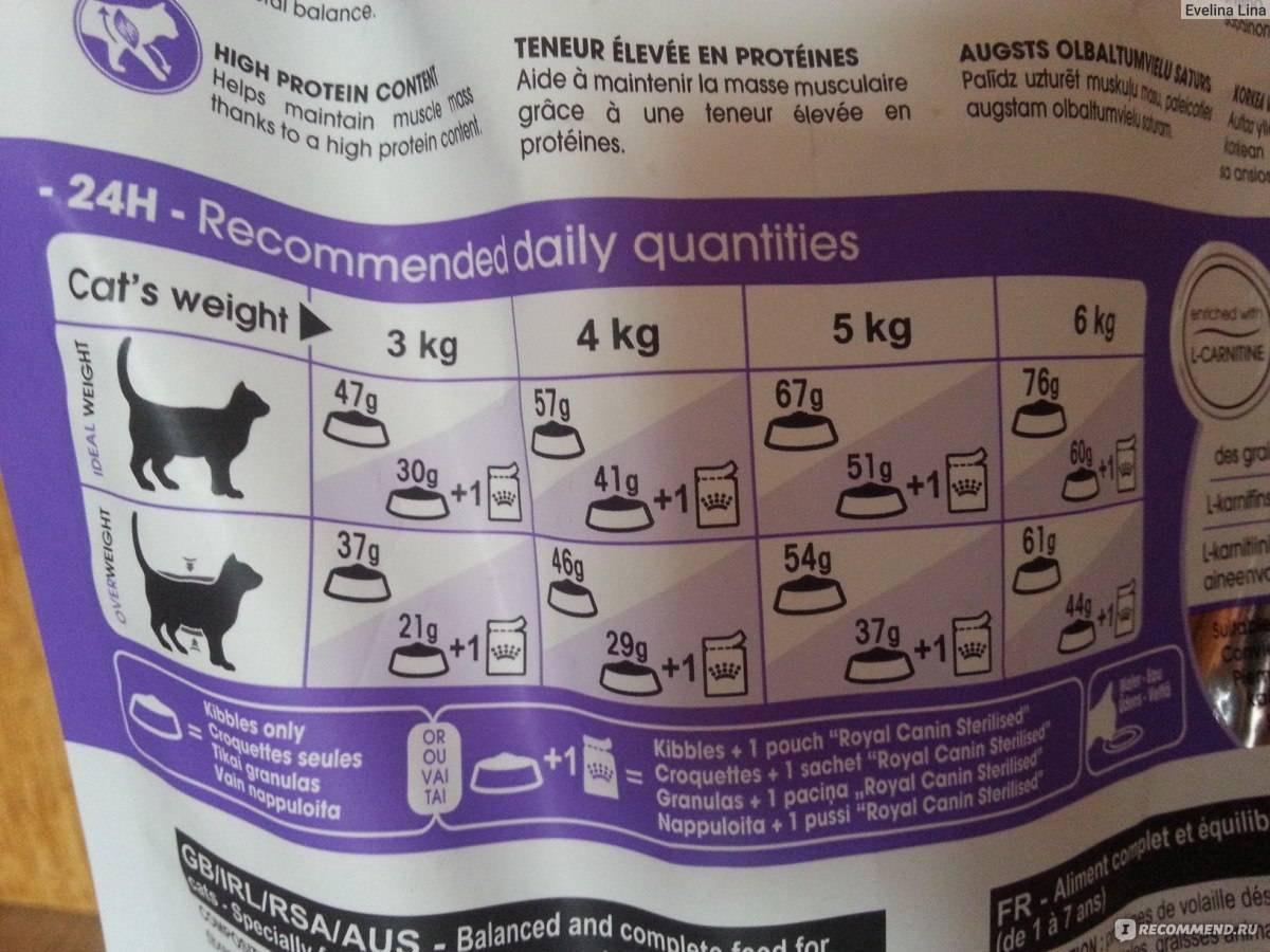 Лучшие корма для стерилизованных кошек и кастрированных котов 2021 года: рейтинг сухих и влажных кормов, холистиков по советам ветеринаров