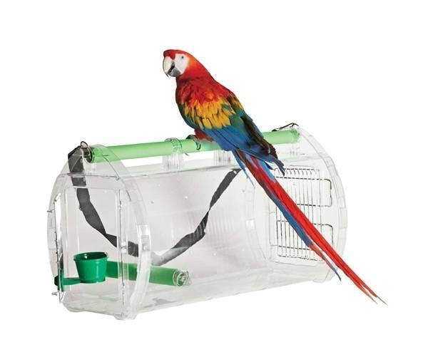 Купалка для попугаев (волнистых, корелл) своими руками: как сделать, как установить, как приучить