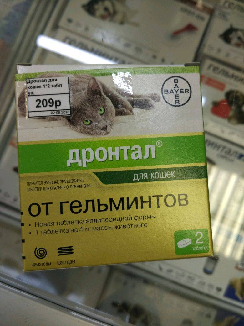 Дронтал для кошек: инструкция по применению, отзывы, цена и лучшие аналоги препарата