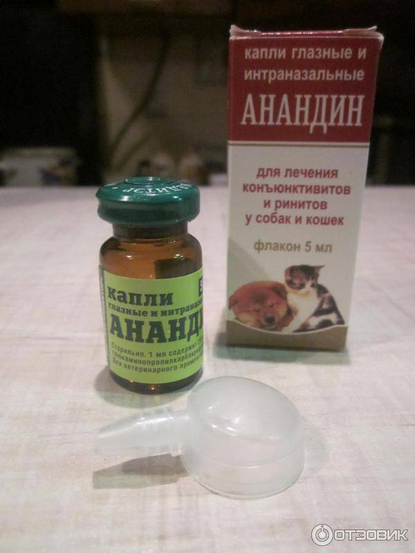 Анандин для кошек - инструкция по применению препарата
