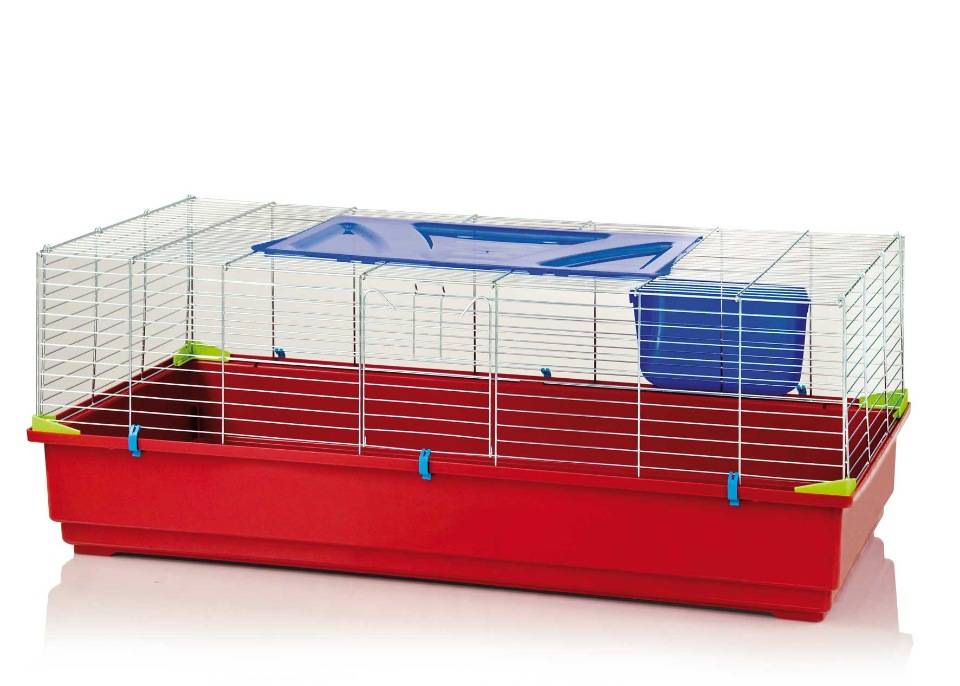 Клетка для морской свинки: как обустроить и оборудовать, размеры жилища, как выбрать домик в зоомагазине, фото
