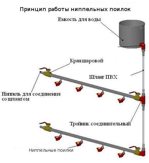 Как правильно сделать и установить поилку для кроликов?