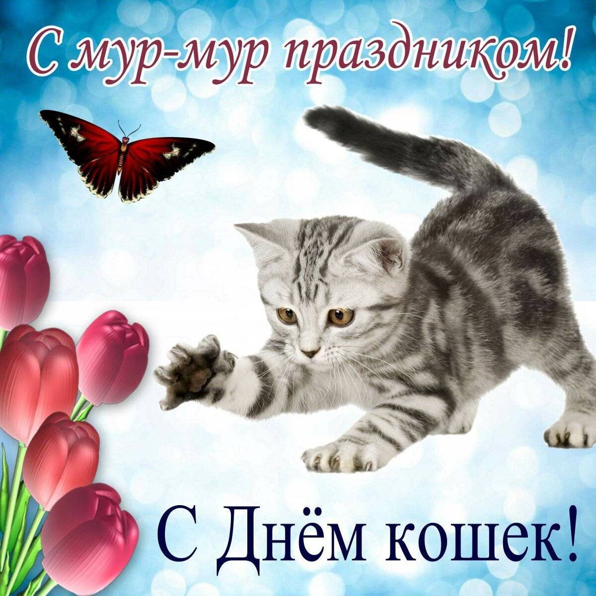 международный день кошек 1 марта