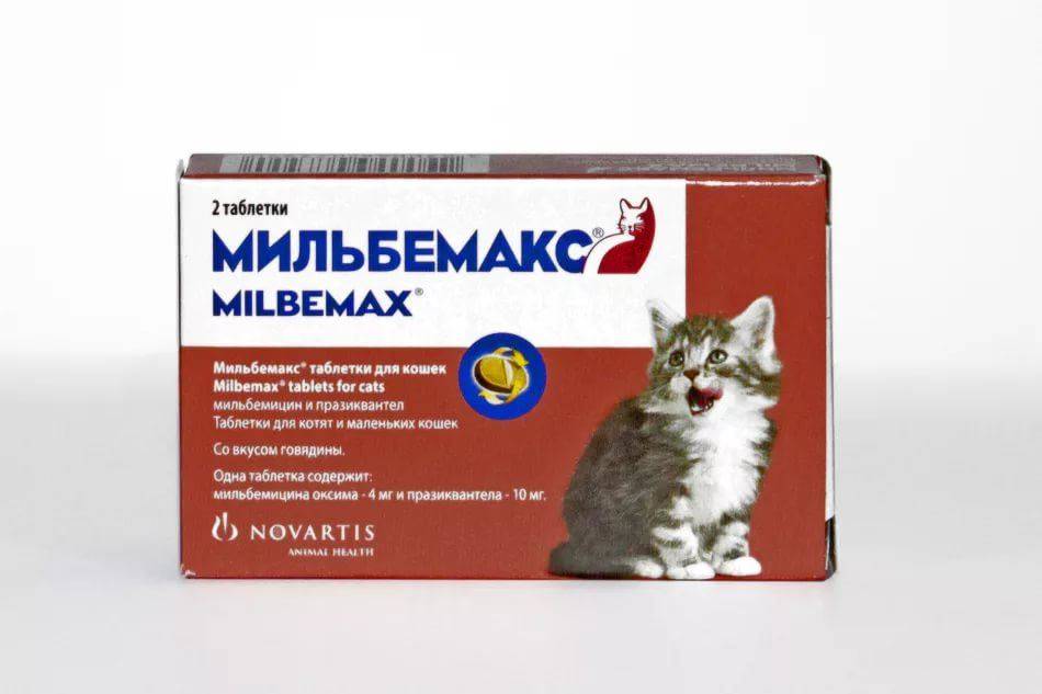 Глистогонные препараты (антигельминтные) для кошек и котят | апиценна