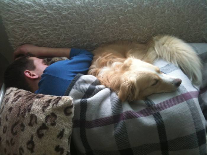 Нужно ли отучать собаку спать на кровати с хозяином? | hill's pet