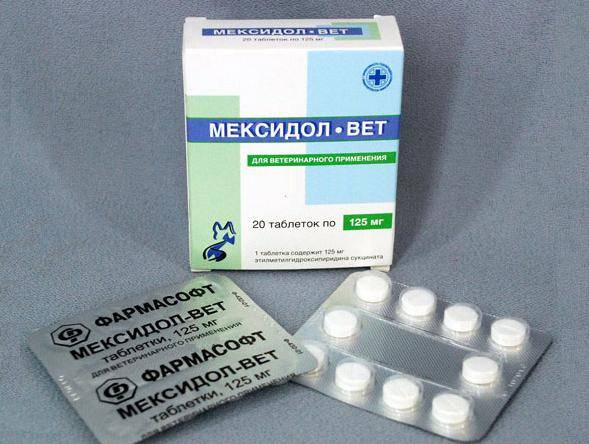 Инструкция по применению антиоксиданта мексидол-вет
