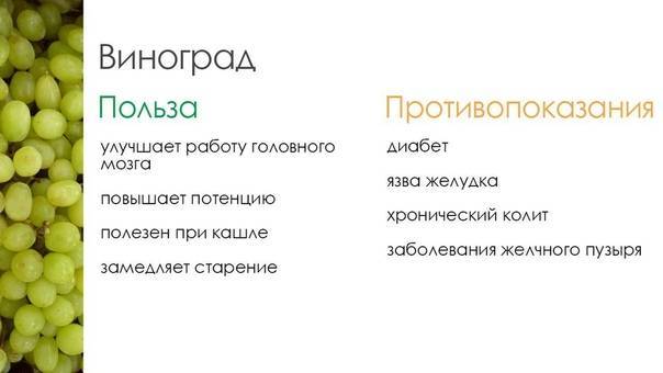Можно ли давать хомяку виноград?