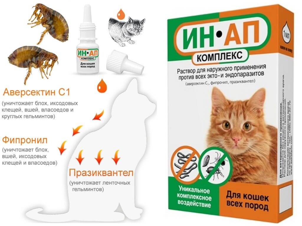15 лучших капель на холку от блох для кошек | животный мир