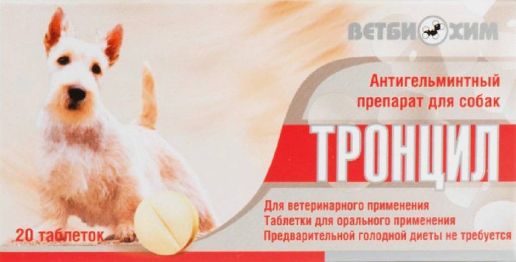Тронцил-к для кошек: способ применения, инструкция по использованию, показания и противопоказания, аналоги, отзывы