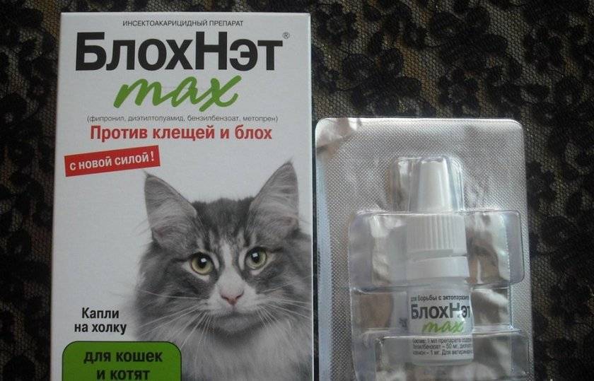 Ветеринарный препарат против паразитов блохнэт max для кошек: инструкция по применению - вет-препараты