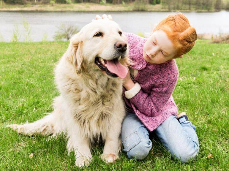 Породы собак для детей: какую лучше завести